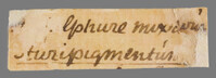 L 02829
          <br/>
          Label met opschrift 
          <br/>
          <em></em>